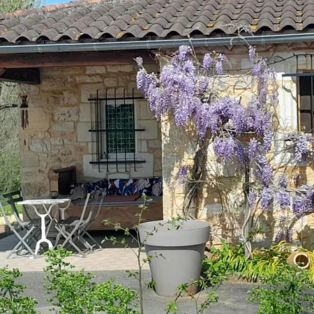 Lot'ivier Piscine Nature Lot